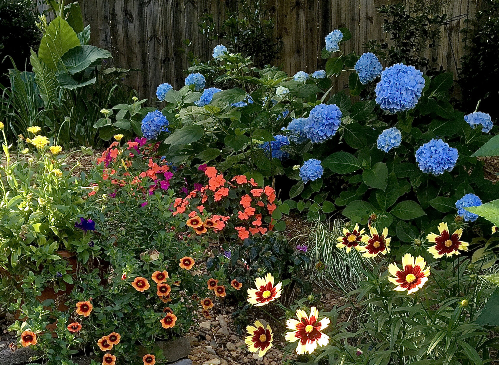 LIFE-HOME-ONGARDENING-5-MCT
